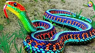সাবধান! ভয়ানক ও বিরল প্রজাতির এই ৭ টি সাপ দেখলে অবাক হবেন আপনিও - Most Uncommon Snakes in the World