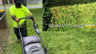 Disabled Man was so Grateful with The Transformation | #mowinggrass #satisfyingvideo  #mowingthelawn