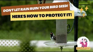 Protecting Bird Seed From Rain