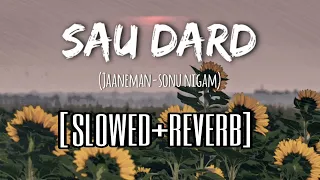 Sau Dard (slowed+reverb) | Jaaneman | Salman Khan