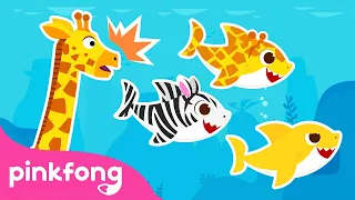 ⭐️ Transformações Animais | Baby Shark | Pinkfong, Bebê Tubarão! Canções para Crianças