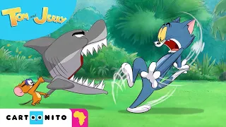 Dangerous Fishing | Tom & Jerry #NEW Cartoon | Cartoonito Africa