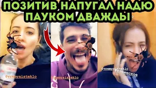 Позитив напугал Надю пауком дважды 😂