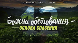 Галатам: 12. Божии обетования — основа спасения (Алексей Коломийцев)