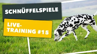 Live-Training #15, Thema: "Schnüffelspiele" | mydog365