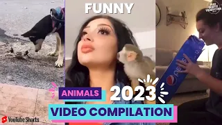 FUNNY ANIMALS - 5 - Try not to laugh - 2023 VIDEO COMPILATION #shorts