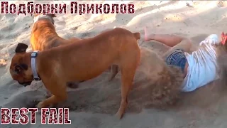 ПОДБОРКА ПРИКОЛОВ|Jokes Fail Compilation #31 Приколы Октябрь 2015 приколы жесть ржака угар ржач