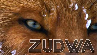 Химера  -  Zudwa (ЗУ2) cover
