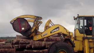 'Green Gabon' tackles deforestation with 'careful' logging