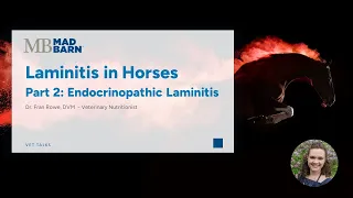 Part 2 - Laminitis in Horses: Endocrinopathic Laminitis - Mad Barn - Vet Talk