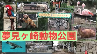 無料で楽しめる動物園！ 神奈川県川崎市 【夢見ヶ崎動物公園】ほぼ全動物(50種)紹介 （テロップ・声なし）