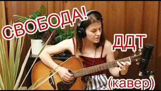 Свобода (Я еду к тебе) | ДДТ | Кавер