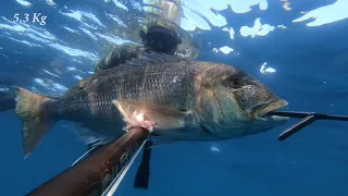 Deep Extreme Vol 1 - Spearfishing Dentex & Grouper