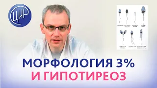 Морфология 3% по Крюгеру, гипотиреоз. Есть ли шанс повысить качество спермы и забеременеть без ИКСИ?