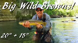 WBD - Fly Fishing Pennsylvania Big Wild Browns