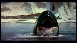 "Orca"  By Ennio Morricone