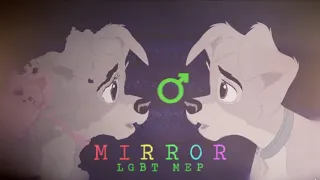 Mirror | LGBT MEP