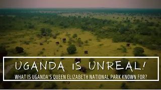 Unbelievable Discoveries in Uganda's Queen Elizabeth National Park