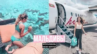 ИСПОЛНИЛА СВОЮ МЕЧТУ! ♡ ЖИВУ НА ЧАСТНОМ ОСТРОВЕ НА МАЛЬДИВАХ, КОРМЛЮ АКУЛ