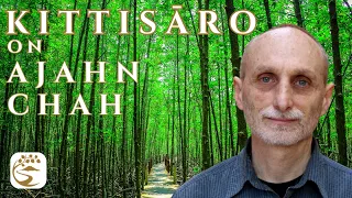 Being Compared to a Dog, a Squirrel, a Pig, and a Donkey by Ajahn Chah | Kittisāro Weinberg Q&A