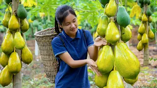 Harvest PAPAYA garden goes to the market sell | Ella Daily Life