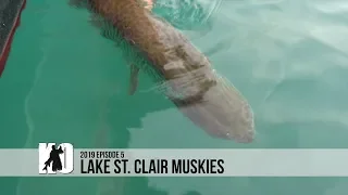 Lake St. Clair Muskies - Episode 5