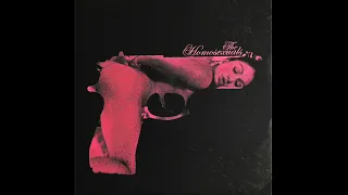 The Homosexuals - Love Guns? - Full Album - Post-Punk / Art Punk