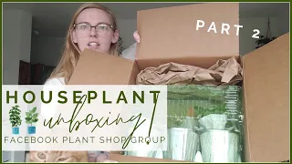 MASSIVE Houseplant Unboxing PART 2!! The Backwoods Boutique Facebook Plant Shop