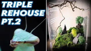 Designing 3 MANTIS enclosures - Part 2 [DESIGN & REHOUSE]