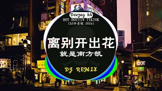 Chinese DJ 2024 高清新夜店混音❤️‍🔥2024最火歌曲DJ Remix抖音版 : 离别开出花 - 就是南方凯 / 三生三幸-海来阿木 / 是你 - 梦然 /...💗抖音神曲2024