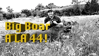 Big Boar A LA 44!