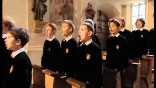 Tölzer Knabenchor - Ave verum corpus 2005