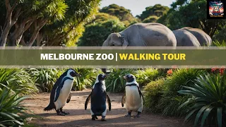 Explore Melbourne Zoo: Full Walking Tour