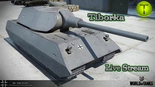 World of Tanks Hun:VK 100.01 (P)