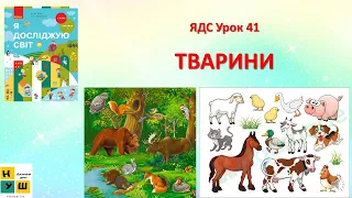 ЯДС 1 клас Урок 41 ТВАРИНИ автор підручника Бібік