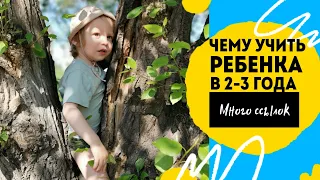 Чему учить ребёнка в 2 года. Ссылки на игры и пособия.