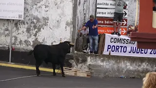 4 Ganadarias (RB - HF - ER - JAF) - Porto Judeu 2022 - Ilha Terceira - Açores