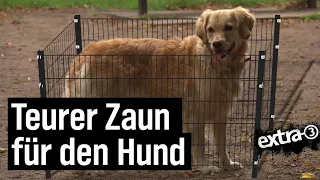 Realer Irrsinn: Hamburger Hundezaun | extra 3 | NDR