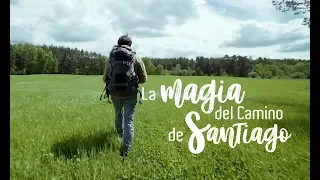 Descubre la Magia del Camino de Santiago ✨ | Pilgrim