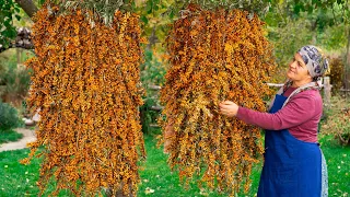 Harvesting Wild Mountain Berries and Making Delicious Delights!