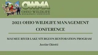 Maumee River Lake Sturgeon Restoration Program