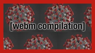 4chan webm compilation