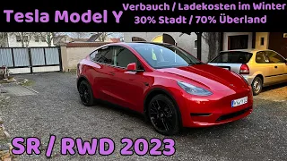 Reichweite Tesla Model Y SR RWD im Winter / REAL ungeschönt