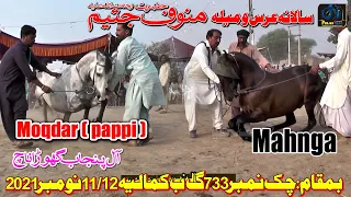 Moqdar ll Mahnga l All Punjab Horse Dance ll Darbar Peer Manoof Jateem Kamalia 2021/22