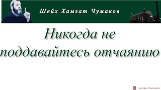 Шейх Хамзат Чумаков / Никогда не поддавайтесь отчаянию!