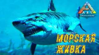 ARK: Survival Evolved. Морская живка: Мегалодон и Базилозавр. Выживание#3