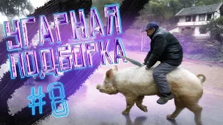 ЛУЧШИЕ ПРИКОЛЫ/ВАЙНЫ/ФЕЙЛЫ 2018 🔥 #8