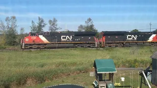 (Before the car incident at 9/23/20) CN 3169 Leads EastBound Intermodal
