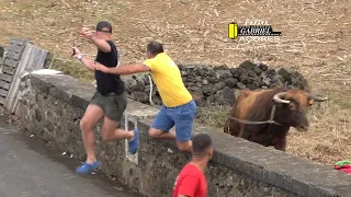 19-9-23 Tourada Porto Martins R.B. Ilha Terceira AÇORES