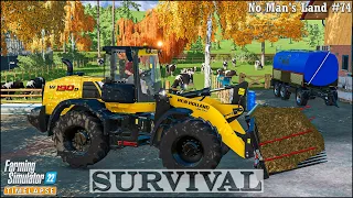 #Survival in No Man's Land Ep.74🔹Making 76 Grass Silage Bales. Harvesting Grapes🔹#FarmingSimulator22